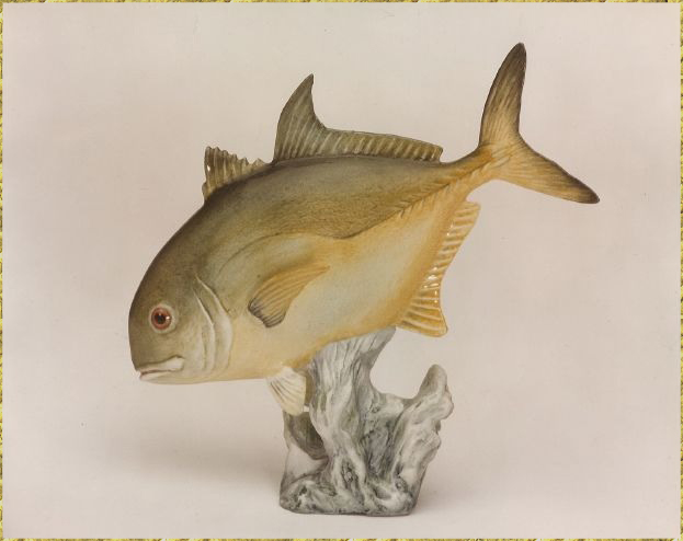 Crevalle Jack Miniature